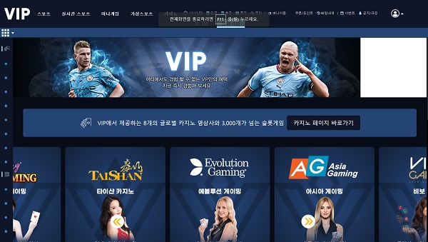 토토사이트-vip-토토-스포츠토토탑